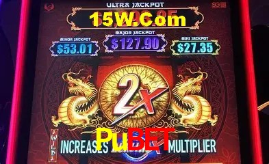 Pubet - Aplicativo Móvel